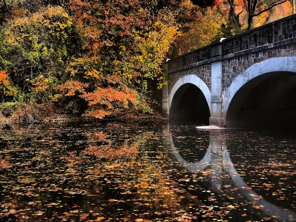 แสงแดด, ตก, น้ำ, ธรรมชาติ, การสะท้อน, ตอนเย็น, เช้า, สะพาน, แม่น้ำ, ใบไม้, ต้นไม้, ฤดูใบไม้ร่วง, ใบไม้, ฤดู, การสะท้อน, ทางน้ำ, พอร์ทัล, millriver, eastrockpark, newhavenconnecticut, drjazz, Professorbop, olympuse5