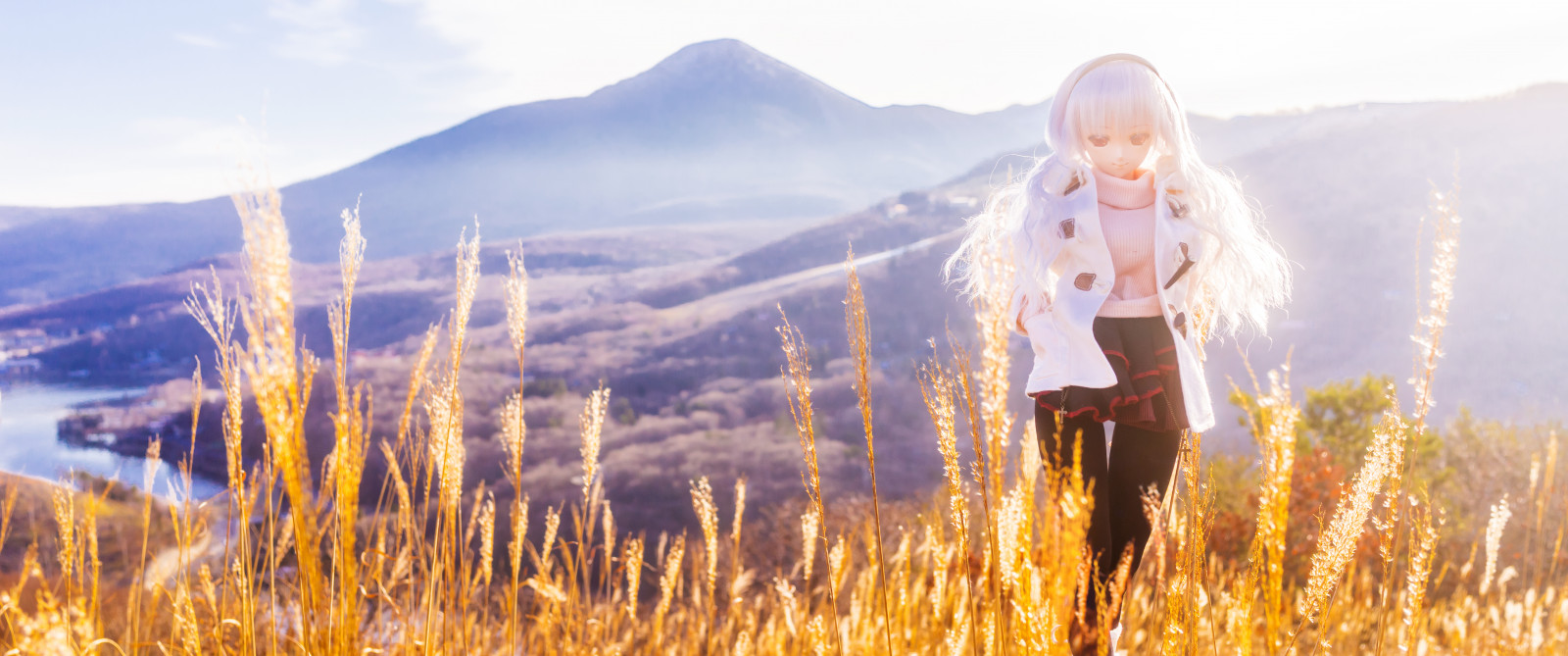 sollys, landskab, bakke, græs, himmel, vinter, Mark, Sony, forår, RX1R, træ, efterår, bjerg, græsarealer, pige, sjovt, eng, dollfiedream, dd, bjergrige landskabsformer, bjergkæde, græs familie, dscrx1r