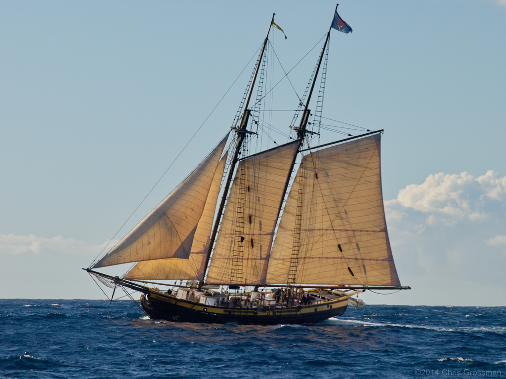 เรือ, เรือ, แล่นเรือใบ, ทะเล, น้ำ, เมฆ, ไม้, เงียบสงบ, สีน้ำเงิน, ลม, แคลิฟอร์เนีย, แล่นเรือใบ, Olympus, Galley, แปซิฟิก, Brigantine, เมฆ, มหาสมุทร, เรือใบ, ไม้, เรือบรรทุกสินค้า, dslr, ช่อง, เสา, บารมี, แล่นเรือ, zuiko, Clipper, zd, ตอนใต้ของแคลิฟอเนีย, 43, ใบเรือ, อินเดียตะวันออก, เรือเต็ม rigged, fluyt, แคร็กเกอร์, เรือของสาย, เกลเลียน, คาราเวล, เรือสำเภา, เรือธง, manila galleon, เรือสูง, สลุบของสงคราม, เรือใบ, windjammer, สี่, 40150 มม, เสากระโดงเรือ, channelislands, f456, barquentine, คนเลื้อย, dhow, ฟันเฟือง, e410, เรือฝึกอบรม, โรคลมชัก, venturacounty, หด, สลุบ, chrisgrossman, santabarbarachannel, twomastedschooner, twomasted, zuiko40150mmf456, 2mastedschooner, 2masts, 2 นาที, water transportation, baltimore clipper, galiot, cat ketch, first rate, ship replica