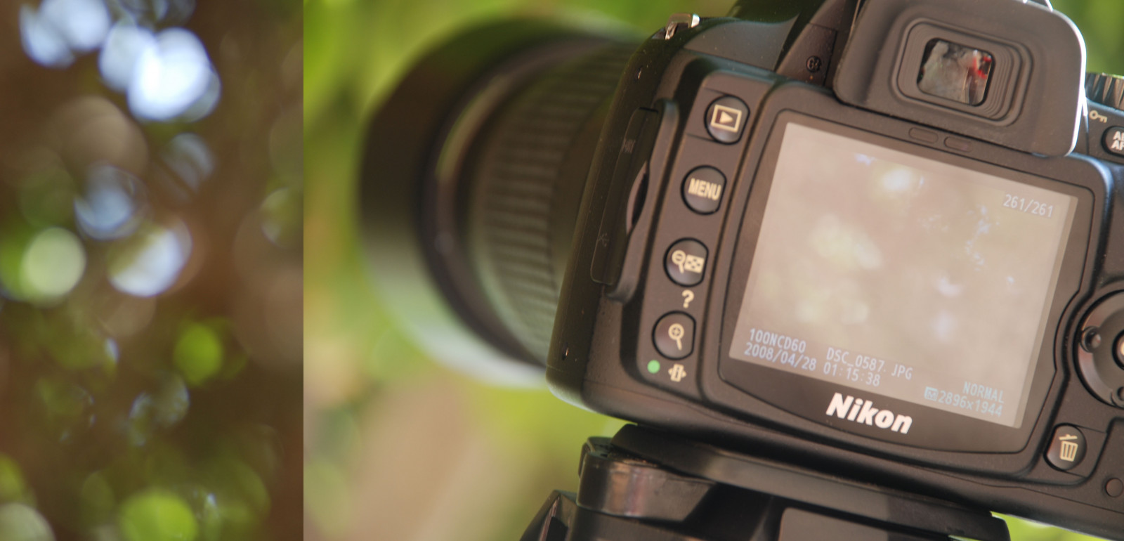 Wallpaper photography, green, blue, brown, baby, Nikon, back, bokeh