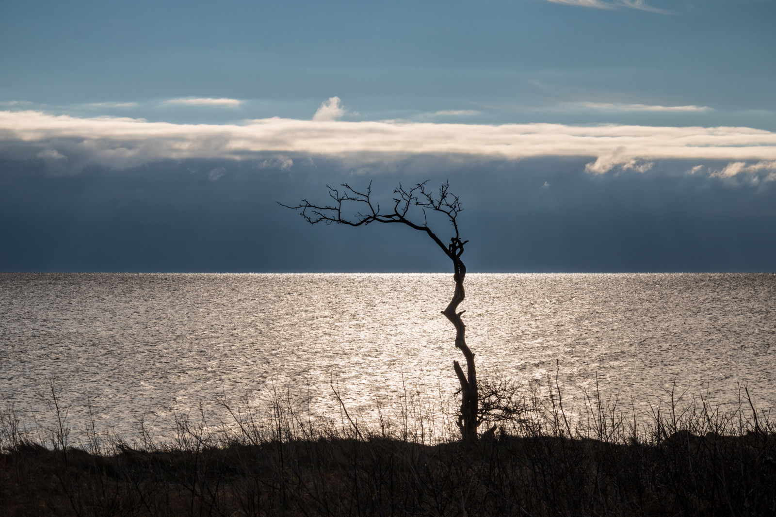 slunečnímu záření, krajina, západ slunce, moře, jezero, voda, Příroda, pobřeží, písek, odraz, nebe, svítání, večer, ráno, pobřeží, slunce, vítr, horizont, soumrak, mrak, strom, hora, svítání, oceán, tr d, hav, smygehuk, kust, atmosférický jev, meteorologický jev