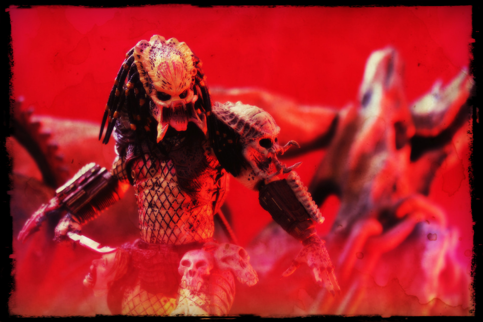 hračky, temný, stvoření, hrůza, Červené, kůň, krev, Věda, Hračka, komiks, lovec, lov, DIO, Zabiják, Psycho, barva, postava, akce, rezervovat, film, špatný, film, dravec, netvor, fantazie, akční figurka, řezník, scifi, série obrazů, komik, komiks, science fiction, násilný, zvláštní efekty, beletrie, makro fotografie, krvavý, mimozemšťan, dravci, role, psychotický, tmavý kůň, NECA, reeltoys, špatná krev, badbloodpredator