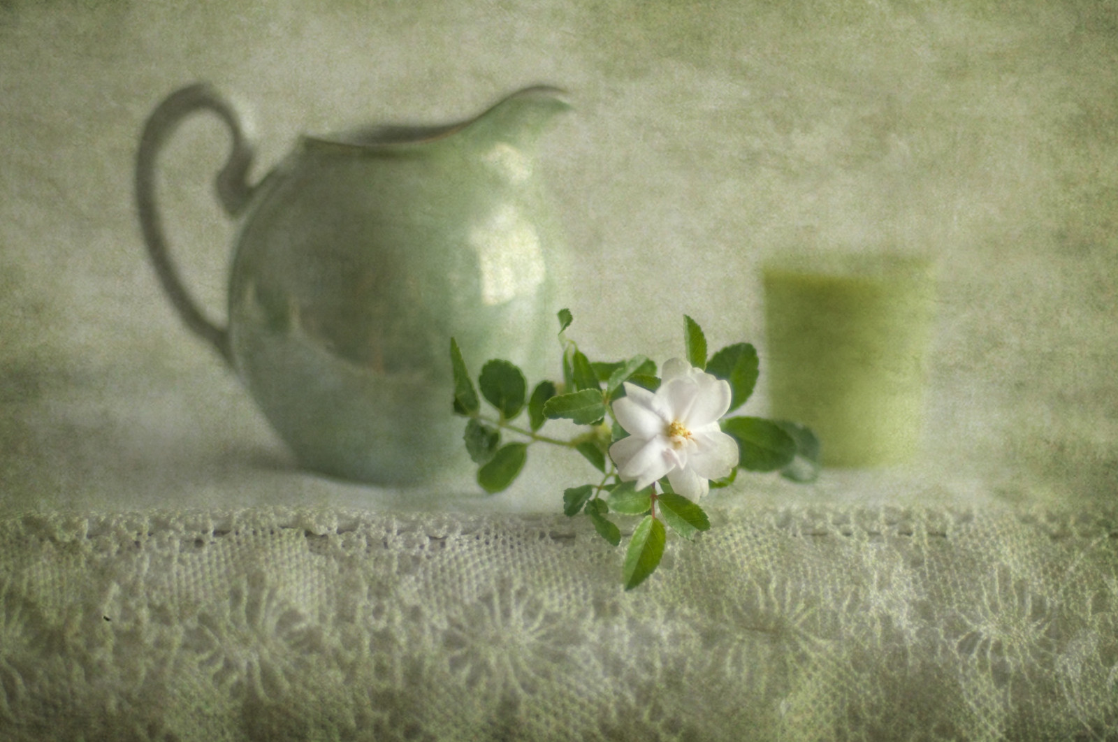 malování, květiny, tráva, zelená, Nikon, 2010, květ, rostlina, flóra, flores, stálý život, D300, verde, stálý život, zátiší fotografování, deska stolu, Džbán, naturemorte, jarra, BDEG n