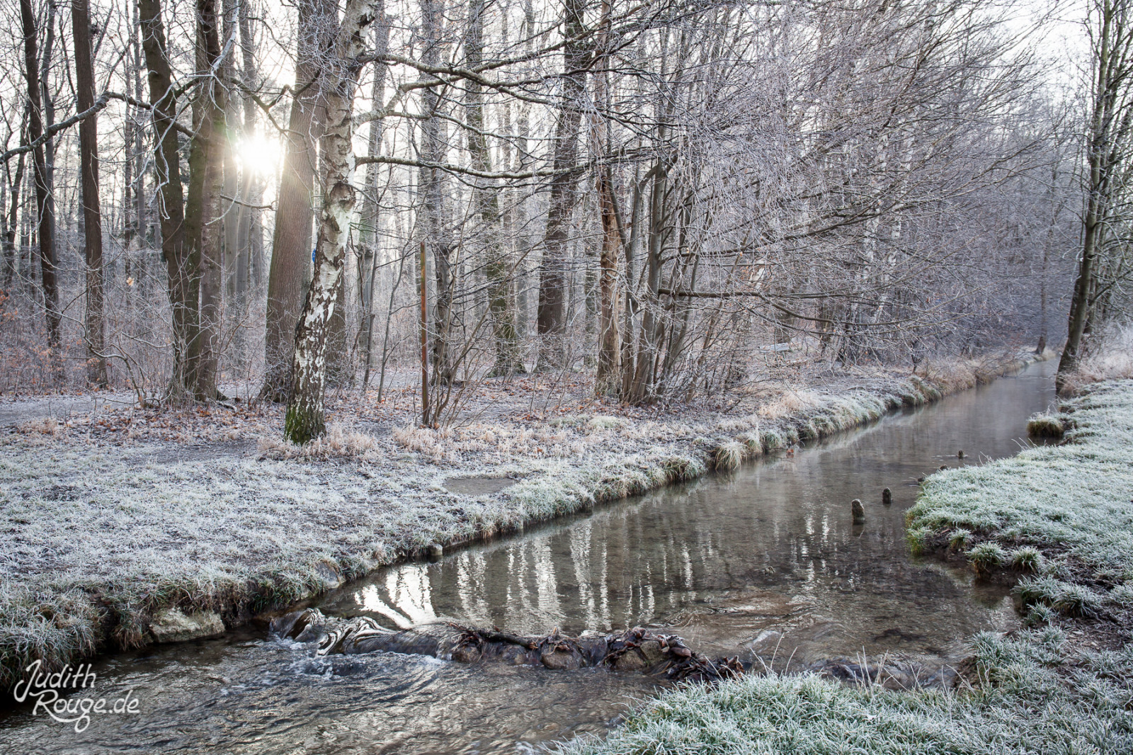 vann, vinter, snø, tre, frysing, skog, frost, speilbilde, Bank, Vassdraget, elv, tre, strøm, is, gren, skog, landskap, lita elv, bekk, elvebreddebufferen skogen, våtmarks