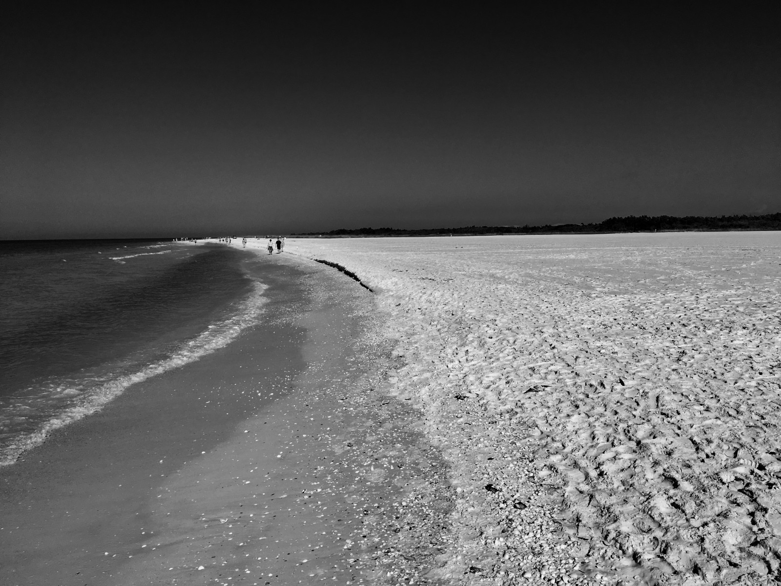 Schwarz-Weiss, Florida, Marcoisland, Tigertailbeach, IPhone