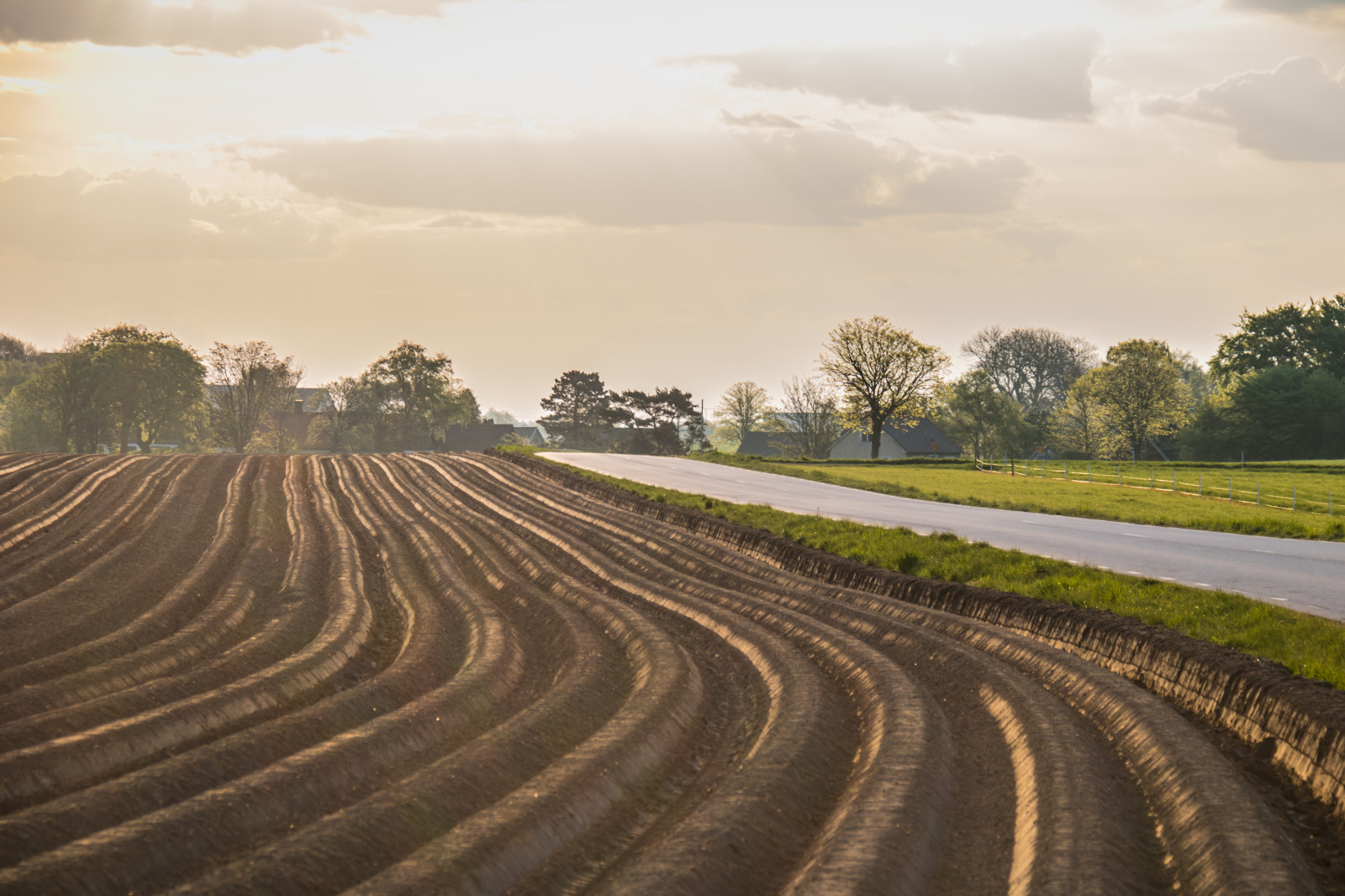 sollys, landskab, solnedgang, bakke, natur, græs, himmel, Mark, vej, morgen, gård, grusvej, horisont, hovedvej, infrastruktur, Sky, træ, landskabet, landsbygd, v g, s dersl tt, landskap, Morgon, gisl v, spore, landbrug, almindeligt, prærie, afgrøde, jord, landdistrikt, atmosfærisk fænomen, græs familie, felt uafskallet