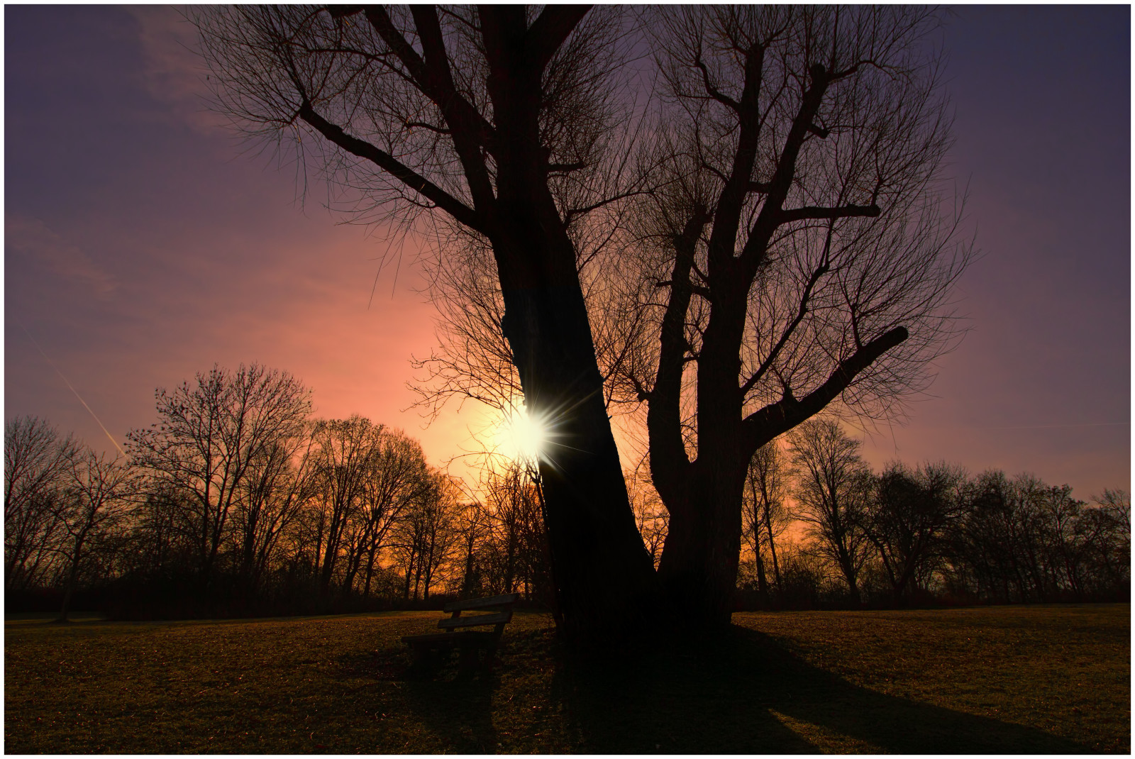 sollys, træer, solnedgang, natur, parkere, afdeling, solopgang, aften, morgen, tåge, bænk, atmosfære, skumring, Bank, træ, efterår, daggry, plante, mørke, Sonnenuntergang, b ume, abend, atmosfærisk fænomen, vedplante