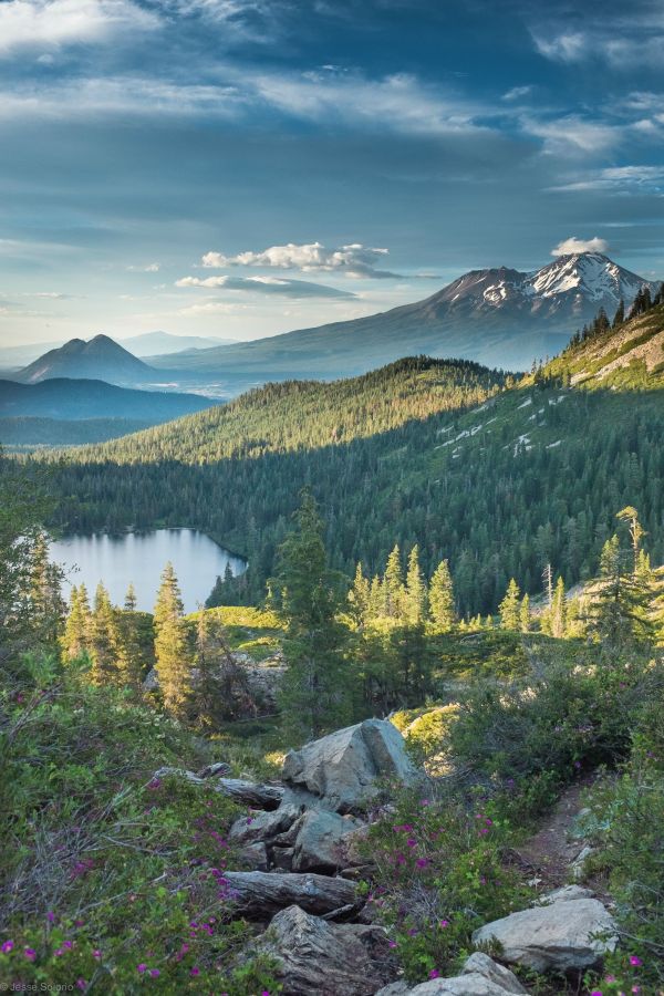 landscape,forest,mountains,nature,hill,lake