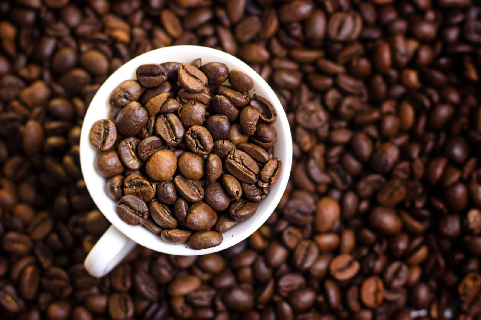 stálý život, pohár, káva, kavárna, Valencia, deštník, Fazole, Blikat, taza, Kávová zrna, comunidadvalenciana, Granos, strobist, Granosdecaf, Tazadecafe, Valenciancommunity