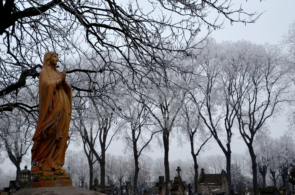 chrám, stromy, sníh, zima, větev, Studený, mlha, mráz, sochařství, socha, Nikon, přejít, hřbitov, jaro, Reflex, památník, 2016, UMĚNÍ, strom, mlha, počasí, sezóna, D7000, hiver, arbre, nikond7000, brouillard, froid, arbres, mlha, givre, dřevina, cimeti re, cimeti res, hřbitovy, croix, vierge