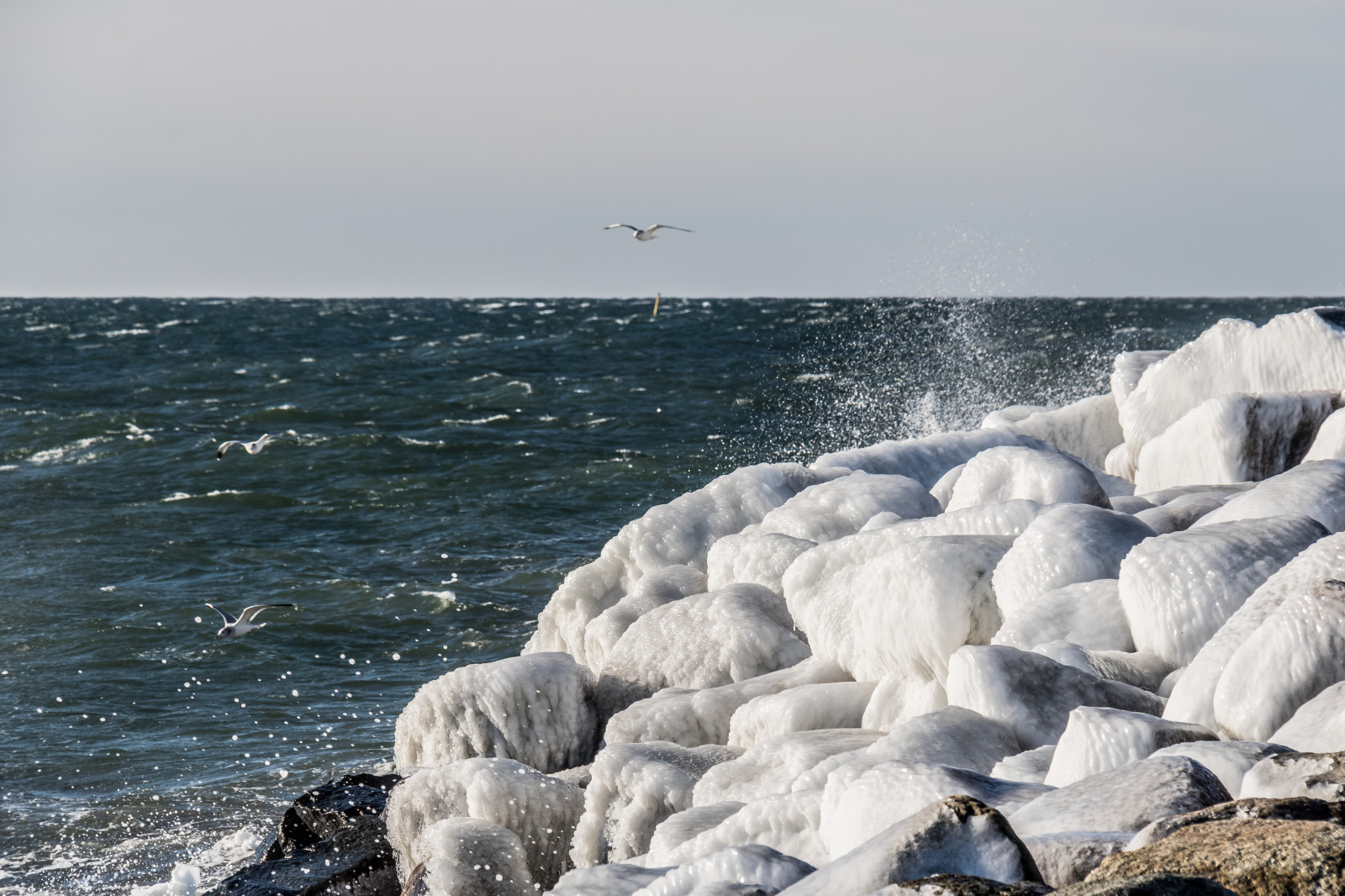 moře, záliv, voda, Skála, pobřeží, písek, zima, pláž, led, Studený, pobřeží, útes, vítr, horizont, pelerína, Terén, je, pták, oceán, vlna, Vinter, hav, f gel, materiál, smygehuk, tělo z vody, mořská vlna, vlnolam
