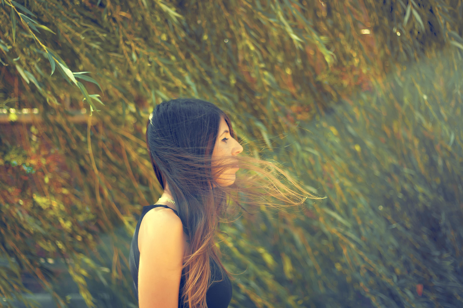 slunečnímu záření, stromy, listy, portrét, voda, Příroda, odraz, tráva, zelená, modrý, slunce, móda, vlasy, letní, vinobraní, teplý, vzduch, campo, slunce, pocity, Amiga, Verano, země, dlouho, barva, Krásná, strom, podzim, list, květ, dosti, chladný, dívka, krása, sezóna, žena, retro, emoce, naturaleza, mujer, chica, hojas, arboles, aire, sladký, přítel, Na výšku, belleza, moda, indie, pelo, dýchat, dlouhé vlasy, calor, paprsek světla, pelolargo, sentimientos, rayodeluz, emciones, ombrehair