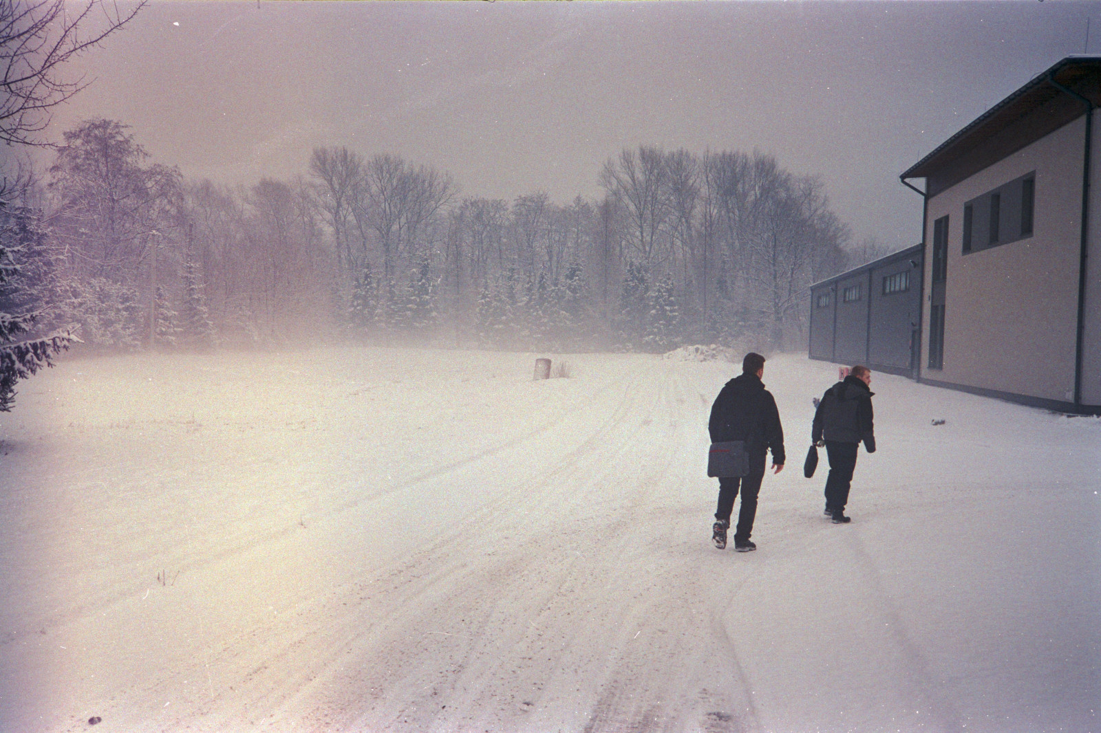 sníh, zima, ráno, mlha, Kánon, 35MM, zmrazení, Fujifilm, mlha, počasí, sezóna, analogový, fuji, film, 400, vánice, obuv, Superia, atmosférický jev, zimní bouře, datematic