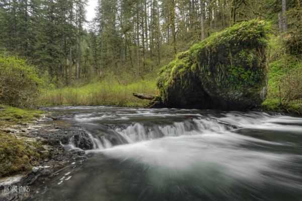 landscape, forest, nature, park, waterfall, water