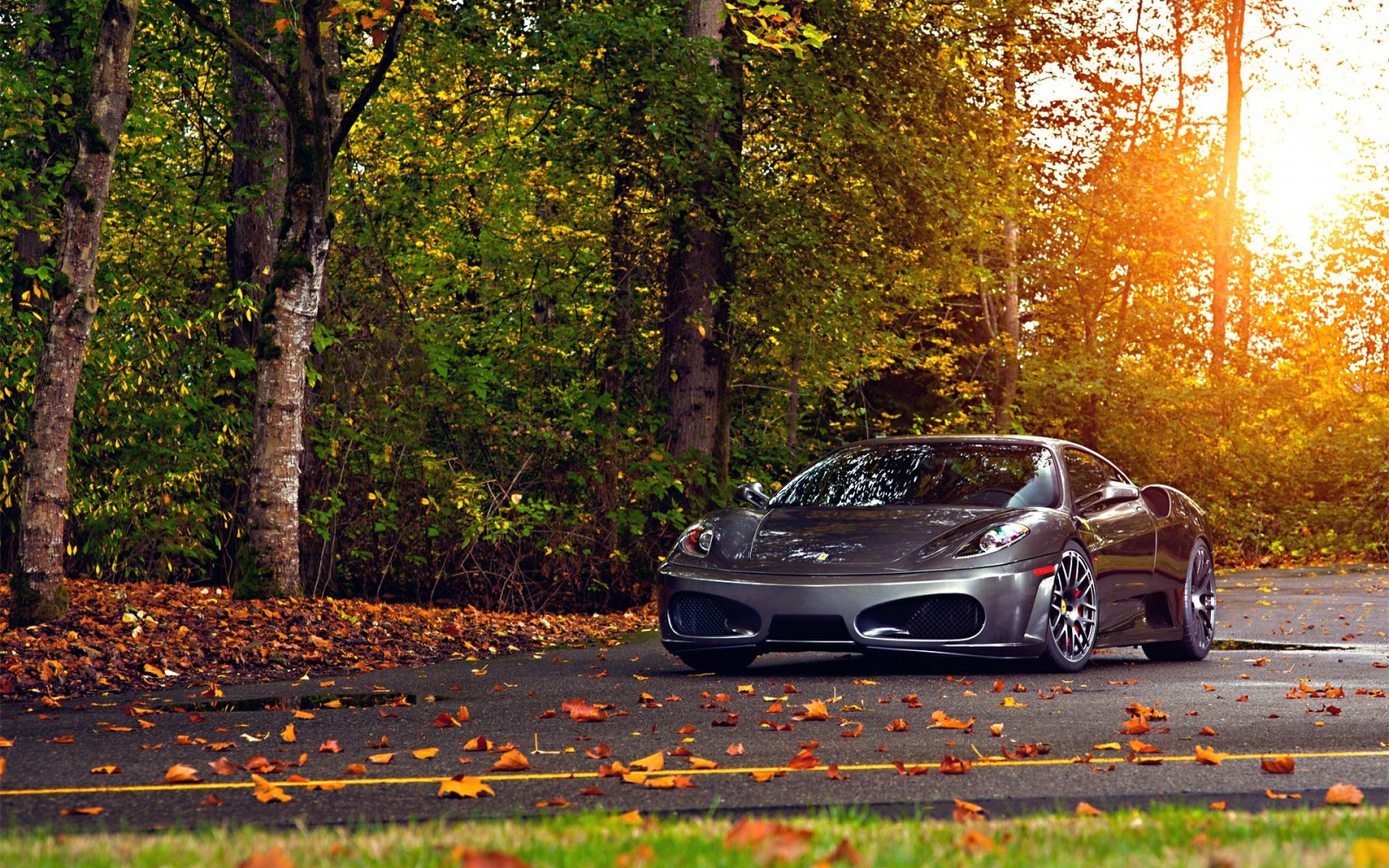 otoño, hojas, coche, vehículo, la carretera, Lamborghini Aventador, coche deportivo, Ferrari, Ferrari F430, Coche de rendimiento, Ferrari F430 Scuderia, Supercar, Vehículo terrestre, Diseño automotriz, Marca de automóvil, Vehículo de lujo