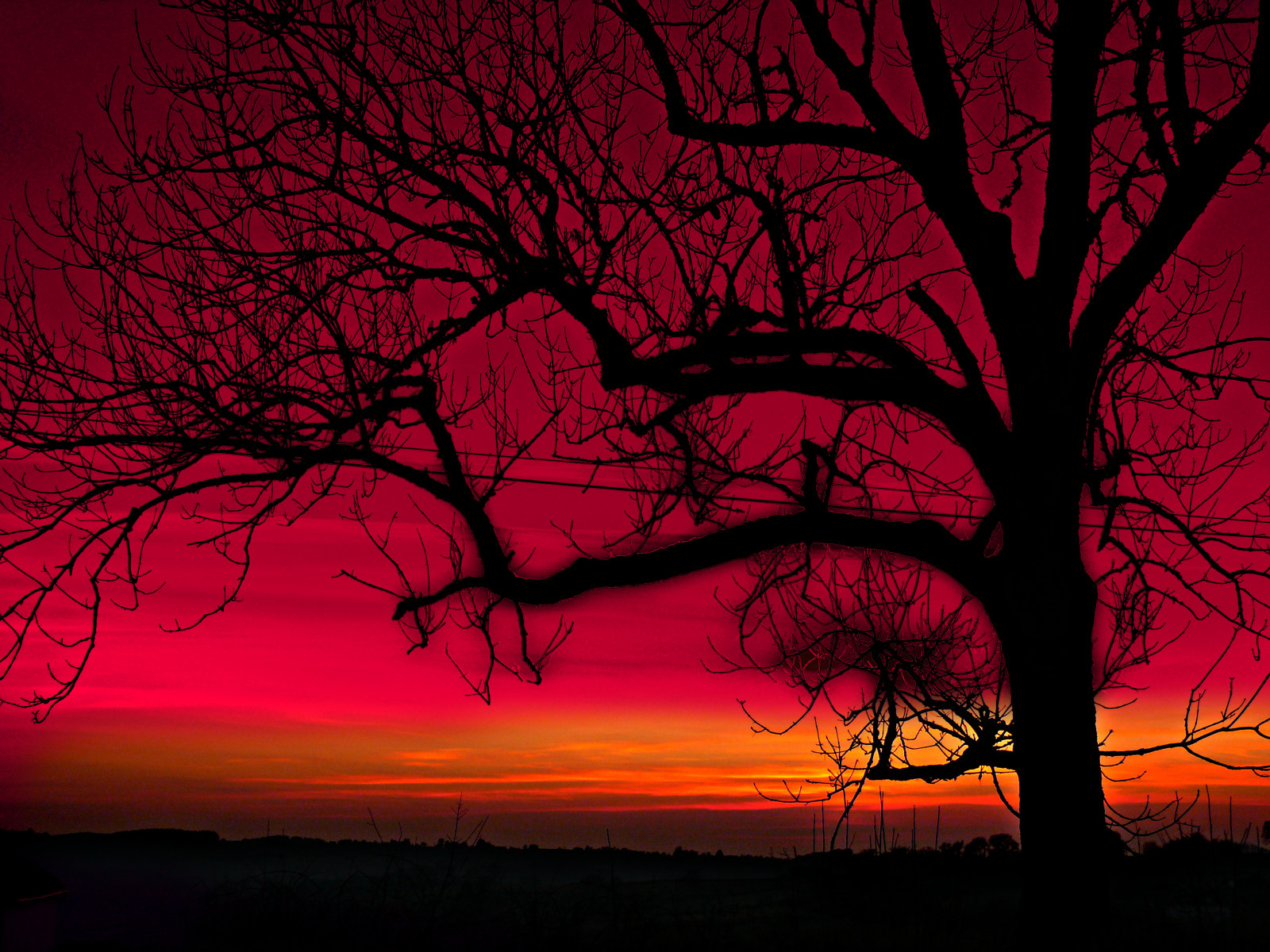 Leica, zima, světlo, západ slunce, Červené, nebe, slunce, slunečnímu záření, mlha, Francie, Studený, barva, strom, Příroda, černobílý, silueta, mraky, digitální, venkovský, temný, francouzština, růž, venku, lumix, večer, Soleil, Frankreich, Evropa, burgundské, větve, hiver, Panasonic, skrytý, ciel, RedSky, Frankrijk, minimalismus, oblak, mraky, paysage, červené světlo, Bourgogne, campagne, francia, arbre, zima, priroda, minimalistický, Morvan, francais, redsunset, FZ50, drvo, Trres, yonne, newvision, Svetlost, oblaci, crveno, sunce, theunforgettablepictures, saariysqualitypictures, mladjenovic, platinumpeaceaward, peregrino27newvision
