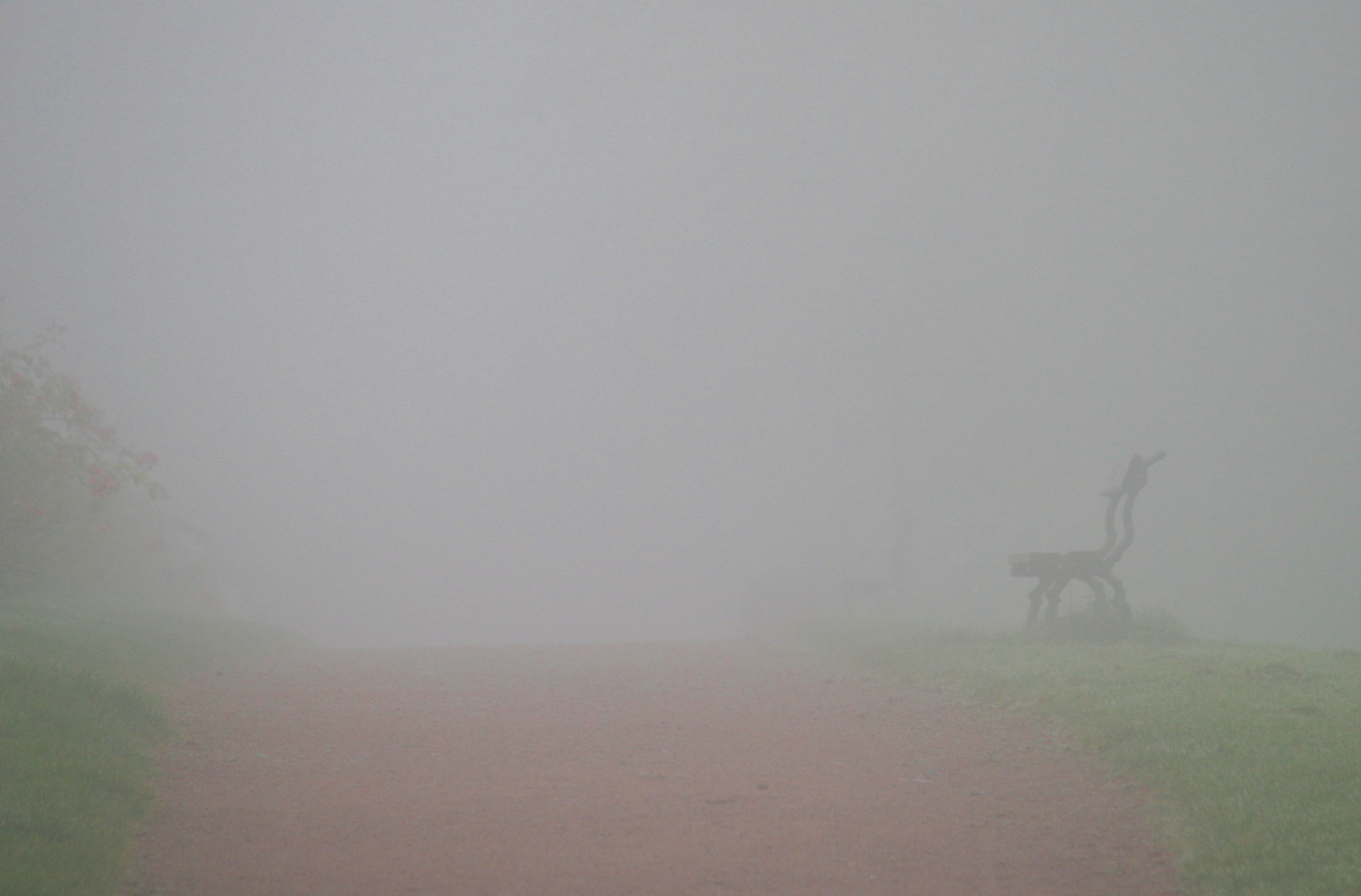natura, erba, cielo, calma, mattina, Germania, nebbia, panchina, vento, orizzonte, atmosfera, Banca, foschia, nebbia, prateria, deutschland, Tridente, pianura, hessen, Darmstadt, Nebel, ivlys, atmosfera della terra, pioggerella, fenomeno, ecoregione, Parkrosenh lui