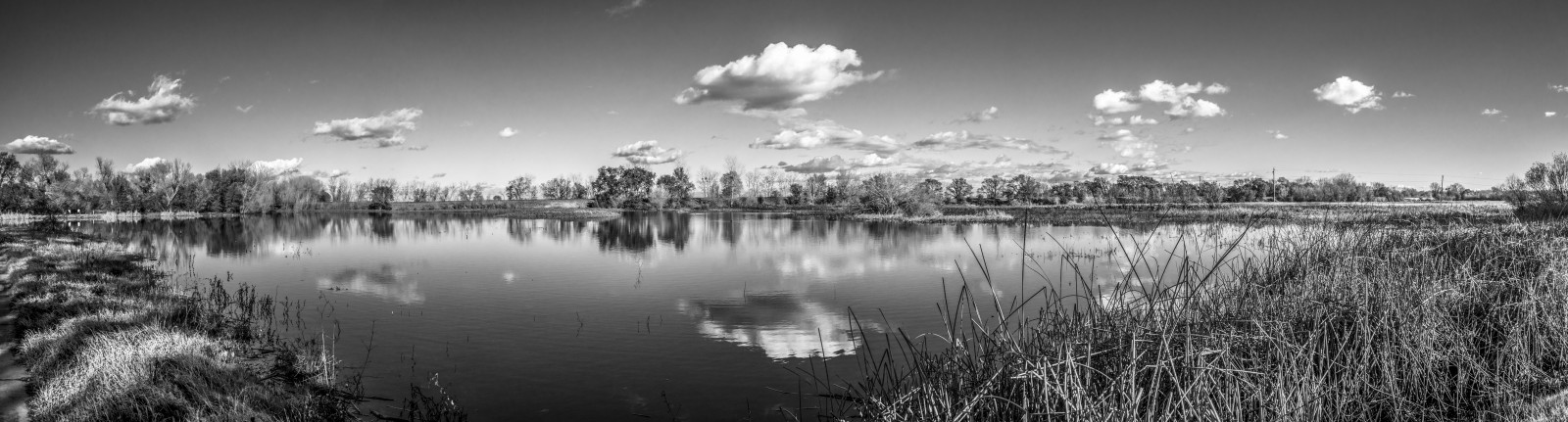 černobílý, Příroda, odraz, tráva, nebe, park, fotografování, mraky, panoráma, ráno, Kalifornie, horizont, odpoledne, mokřadní, Černý a bílý, mrak, venkovní, tělesné, nás, ca, Spojené státy, vodní ptáci, atmosférický jev, počítač tapeta, Černý a bílý, monochromatické fotografování, centralcaliforniavalley, elkgrove, aquaticbird, cosumnesriverpreserve, Galt