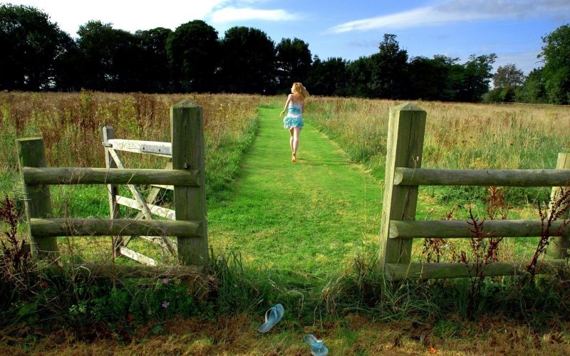 natura, erba, campo, verde, azienda agricola, donne