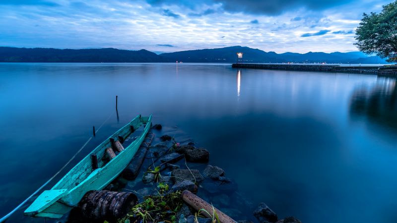 lumina soarelui, mare, dafin, lac, natură, apă lumina soarelui, mare, dafin, lac, natură, apă