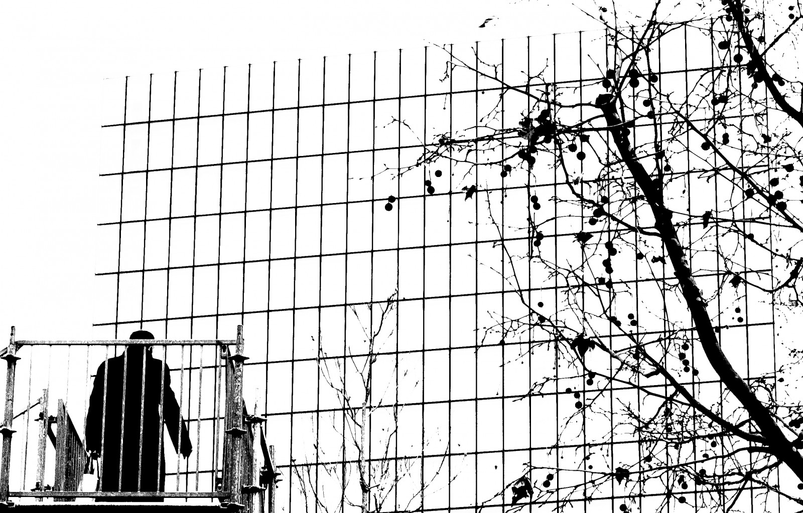 monokrom, arkitektur, bygning, mønster, struktur, elektricitet, stilladser, vinkel, træ, areal, Gade syn, linje, noiretblanc, blackandwithe, photoderue, urbanarte, facade, paris13, BNF, photopascalcolin, sort og hvid, monokrom fotografering, boligområde, luftledning, elforsyning, public utility