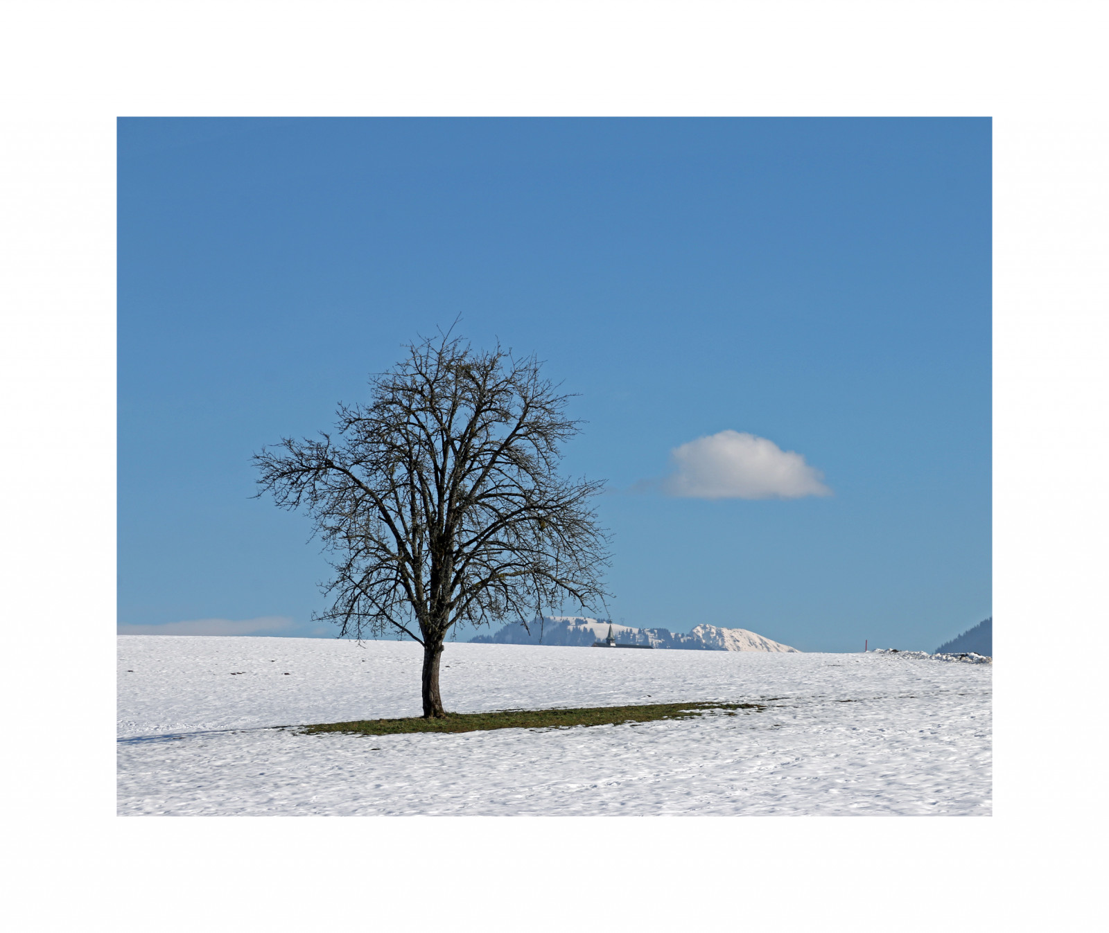 ฝรั่งเศส, Soleil, neige, nuage, ง่าย, อารเบีย, แชมป์, pommier, Hautesavoie, Chablais, cumulushumilis, plateaudegavot, chapelledechampeillant