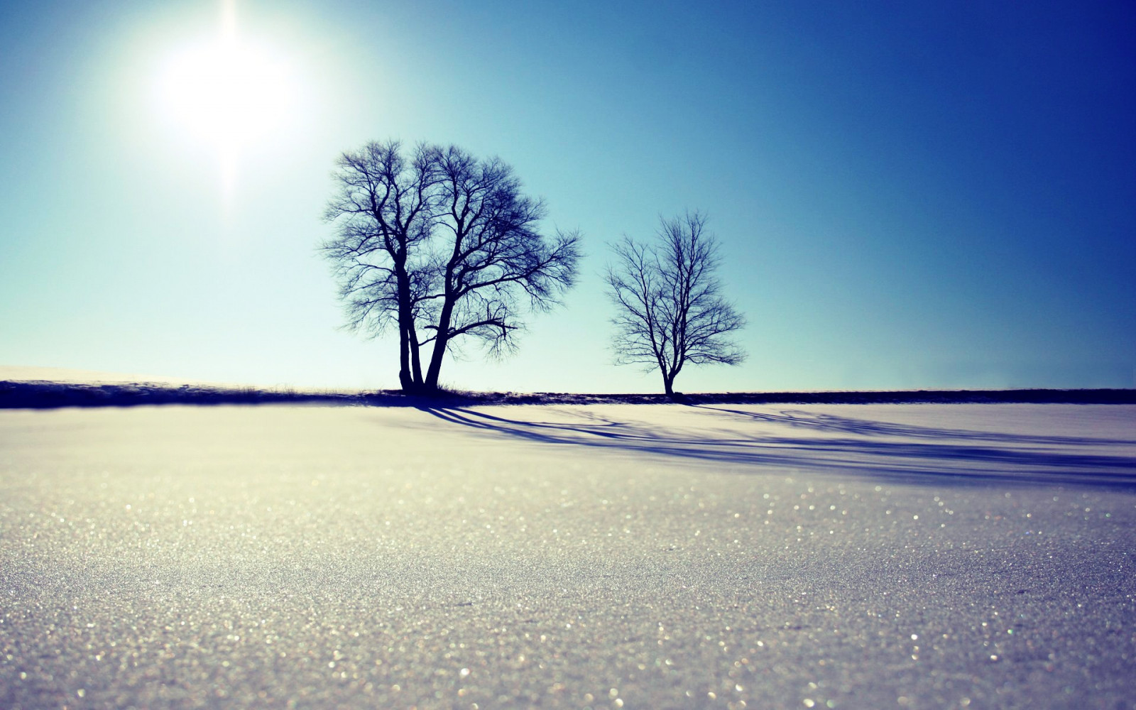 sollys, træer, landskab, solnedgang, natur, afspejling, himmel, sne, vinter, solopgang, is, aften, morgen, frost, Sol, horisont, atmosfære, skumring, Fryser, lys, Sky, træ, vejr, daggry, sæson, atmosfærisk fænomen