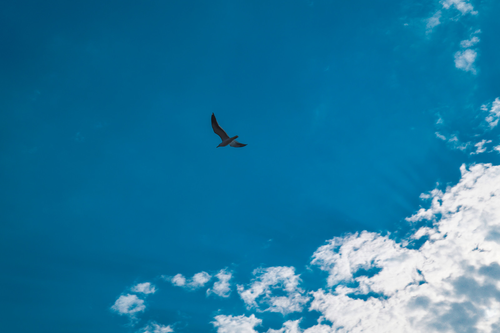 Photoshop, moře, minimalismus, nebe, modrý, Sony, letní, Cvrlikání, Lightroom, Peru, pocity, Verano, mrak, 10, emoce, lima, sonysal50f14, sonyslta58, 50mm 14, fotodeautor, authorsphotograph, artdino, dinobokeh, twitterdinobokeh, sRGB, adobephotoshopcc2015, adobephotoshoplightroom60, fotograf aart stica, Agfa, minimalismus, počítač tapeta, Atmosféra Země, přednastevení, fotosdeautor, fotograf adeautor, granplanogeneral, fotograf Aart sticacontempor nea, přednastavení, conceptualart, planogeneral, espacionegativo, juansalvadorgaviota, f bula, Novela, Richard David Bach, diem wejonathan, angulocontrapicado, arteconceptual, minimalismopo tico, lacostaverde, Costaverde, Barranco, agfacrossproc, jonathanlivingstonseagull