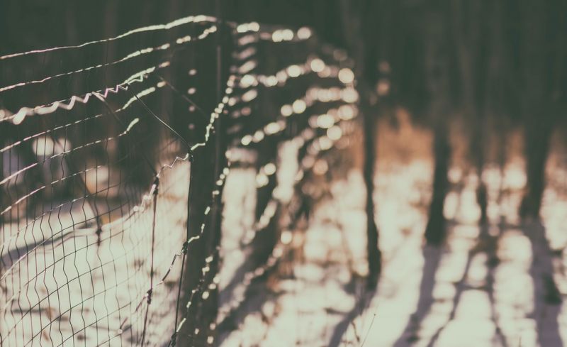 แสงแดด, ธรรมชาติ, การสะท้อน, ฤดูหนาว, การถ่ายภาพ, หิมะ