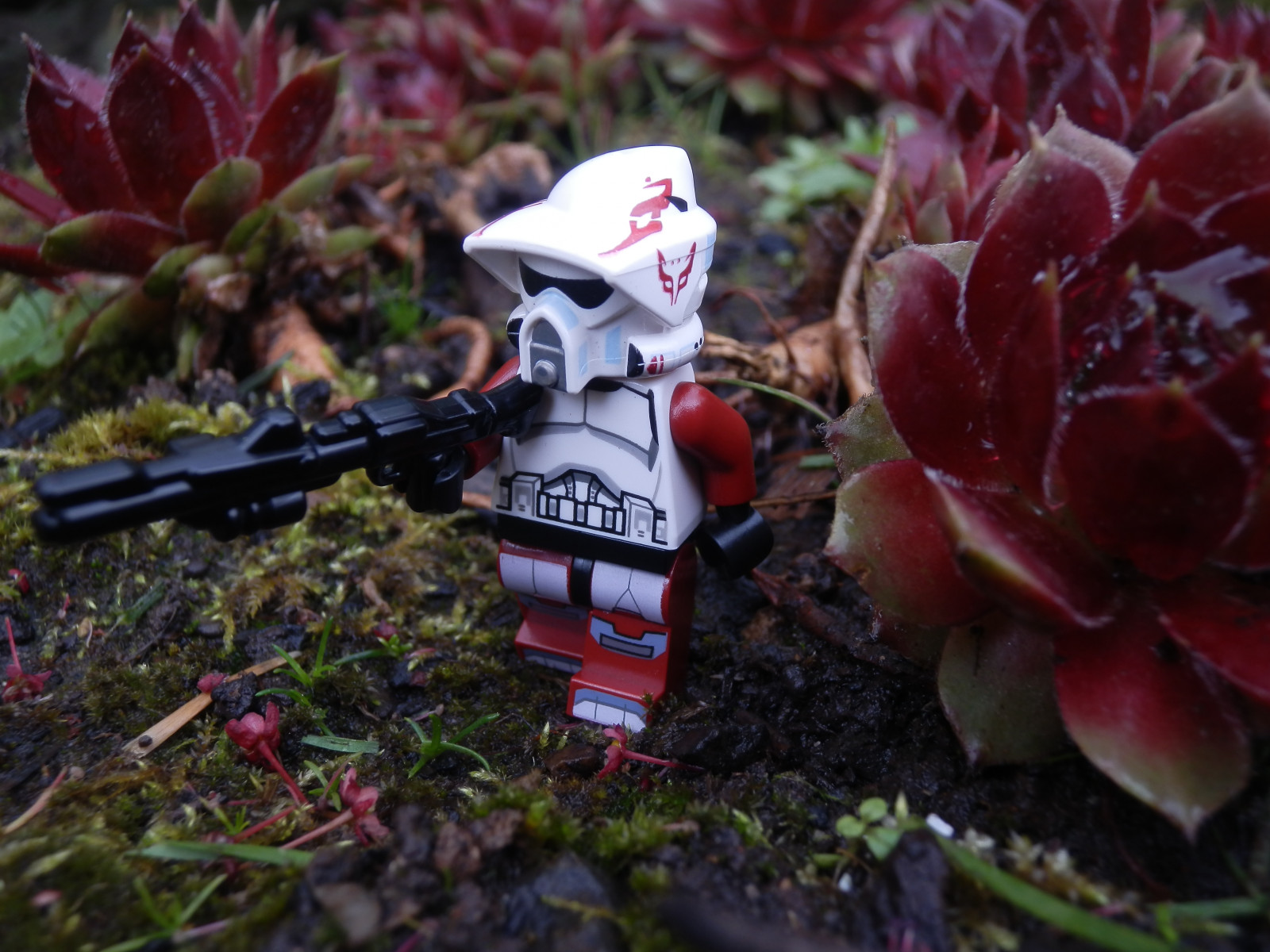 dveře, rostliny, bílý, rostlina, tankista, Černá, tráva, kůže, temný, ven, mimo, fotografování, hvězda, fotografie, hvězdné války, mech, s, LEGO, obraz, vy, venkovní, boční, smět, obrázek, 4., pic, vojáci, ARF, špína, klony, být, války, ba, clone, tmavě červená, outdoorphotography, Můžeš to být, brickarms, Venku, legophotography, legography, arftrooper, arftroopers, outdoorlegophotography