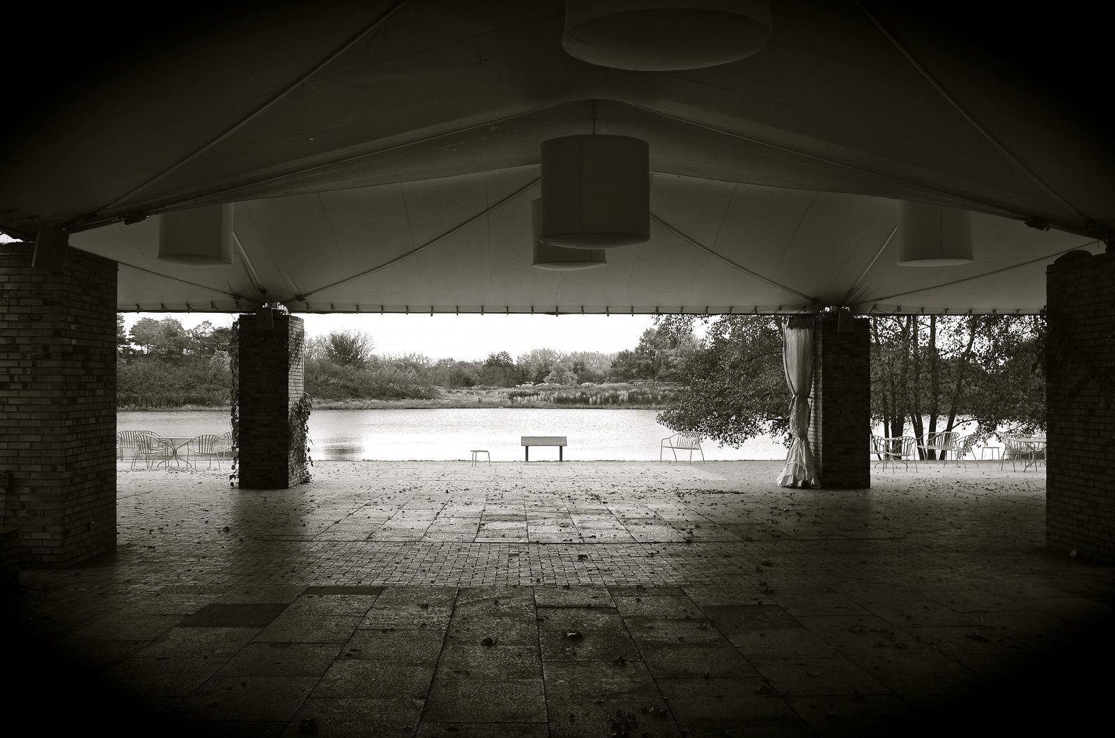 podzim, bílý, Černá, černobílý, zahrada, architektura, voda, odraz, nebe, stín, fotografování, večer, lavice, Šedá, Nikon, stan, říjen, šedá, Chicago, POV, struktura, 2014, světlo, Černý a bílý, mrak, strom, stíny, tělesné, tma, nikond7000, nikon2485, Černý a bílý, monochromatické fotografování, Glencoe, botanické, jev, Severní pobřeží, CBG, Cook County, chicagobotanicgarden, altán