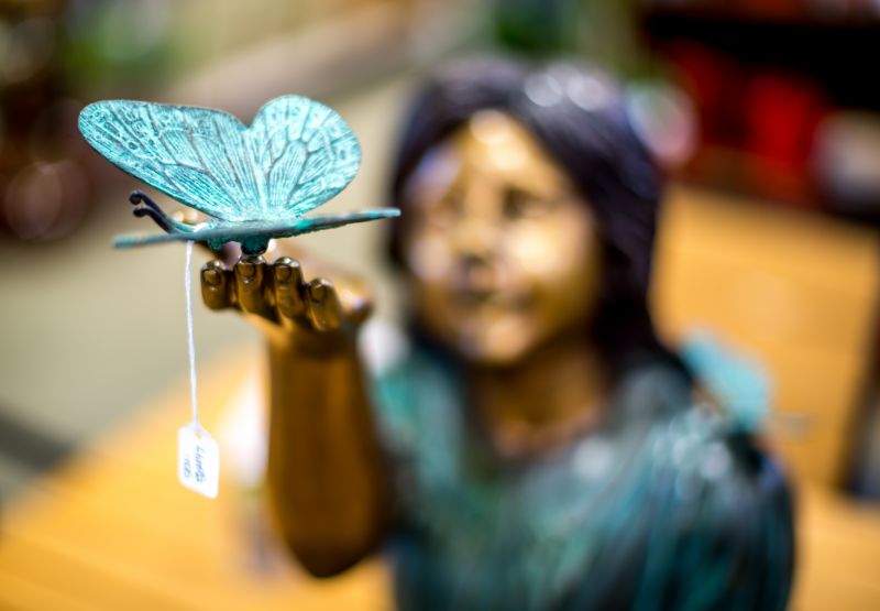 blå, møl og sommerfugle, sommerfugl, insekt, bestøver, sjovt