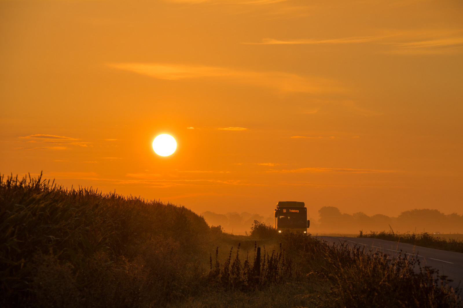 slunečnímu záření, krajina, západ slunce, kopec, nebe, pole, silnice, svítání, večer, ráno, mlha, slunce, horizont, atmosféra, soumrak, slunce, venkovský, mrak, autobus, mlha, svítání, zlatá hodina, nebe, dimma, venkov, moln, Trelleborg, landsbygd, soluppg ng, s dersl tt, landskap, morgon, gyllenetimmen, VAG, dalk Pinka, hbuss, prérie, atmosférický jev, odlesk, astronomický objekt, červená obloha v dopoledních hodinách