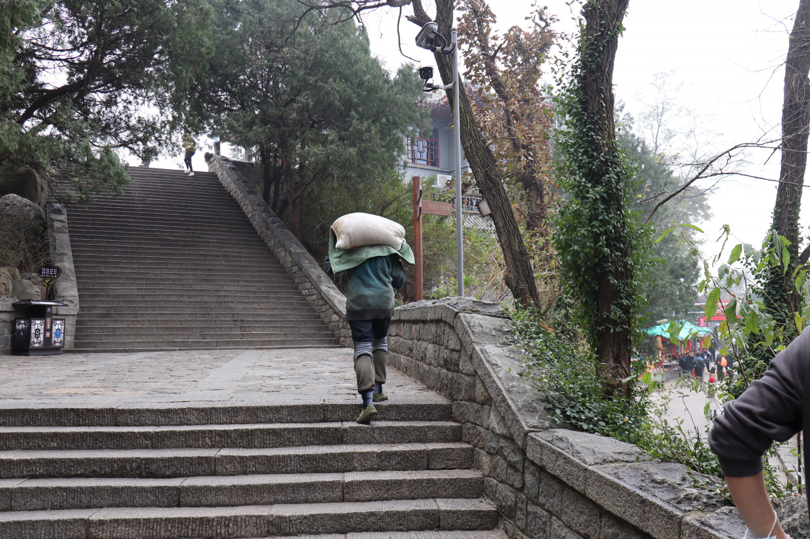 rostlina, schody, strom, povrch vozovky, kolo, volný čas, rekreace, chodník, silnice, nebe, street fashion, město, asfalt, pěší, zima, chodník, cyklistika, cestovat, ulice, dlažební kamen, Cestovní ruch, podlaha, chůze, cesta, cyklus sportu, zábradlí, pruh