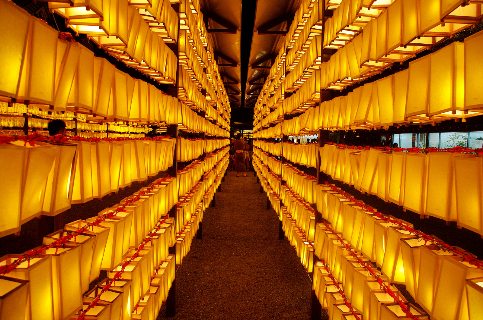 Wallpaper Japan, lights, lantern, shrine, Tokyo, pentax, 2014, light, festival, lanterns