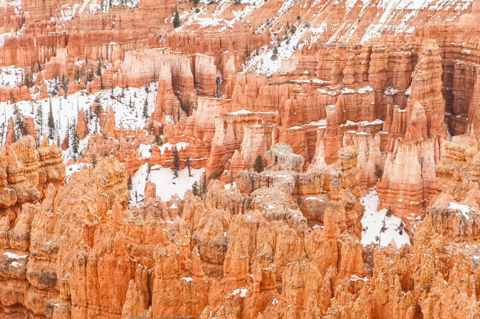 vinter, USA, sne, Utah, Nationalpark, canyon, bryce, canon5d, rockformation, 2014, sunrisepoint