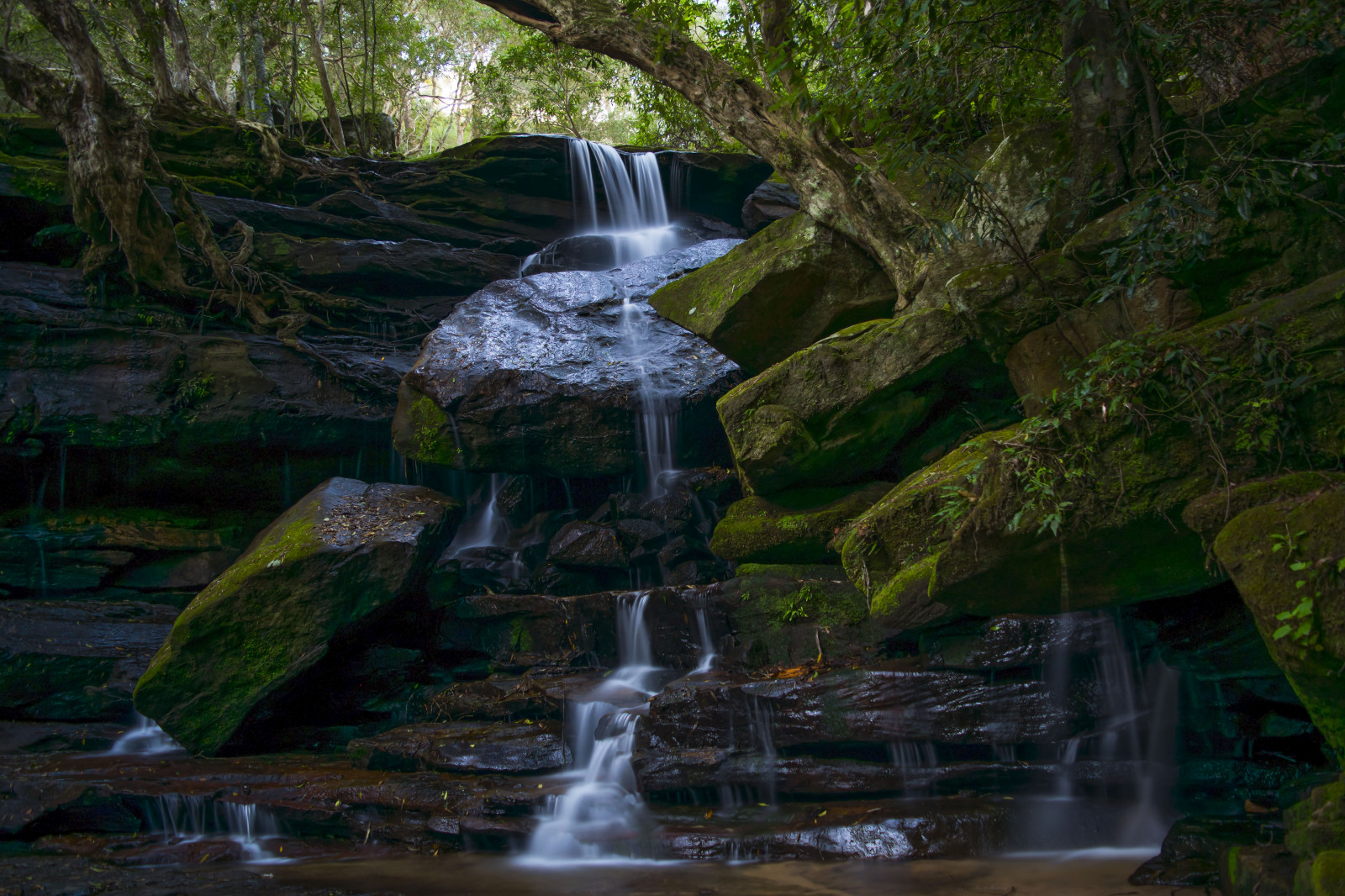 Papel De Parede rvores Panorama Cascata Agua Natureza Musgo 