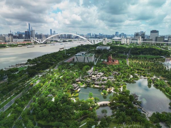 drone photo,landscape,city,drone,Shanghai,Lotus