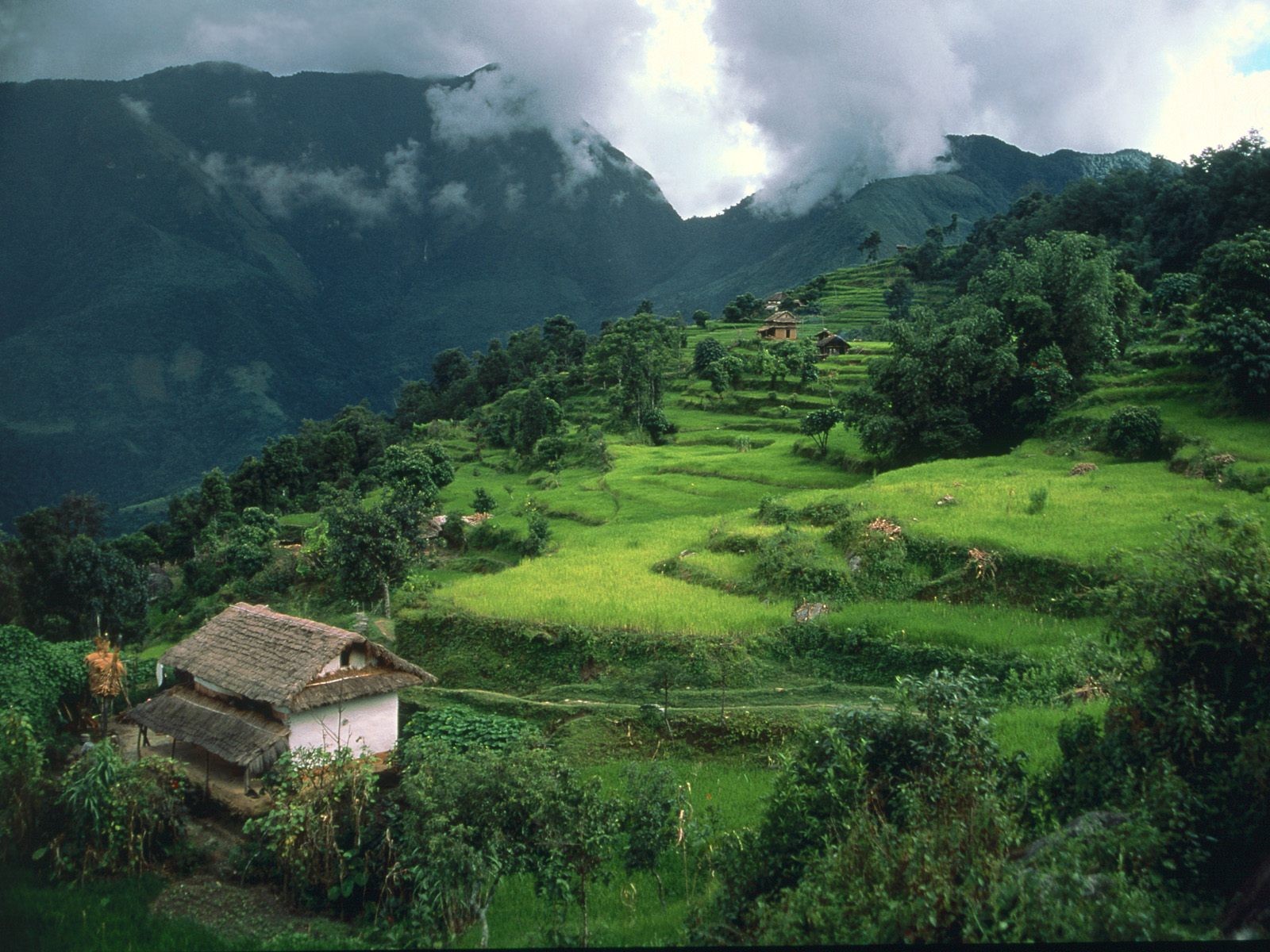 Wallpaper : landscape, forest, Asia, nature, green, village, valley ...