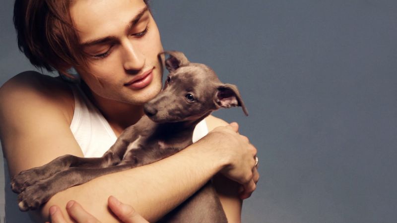 model-,acteur,neus-,fotoshoot,hond,wisselwerking