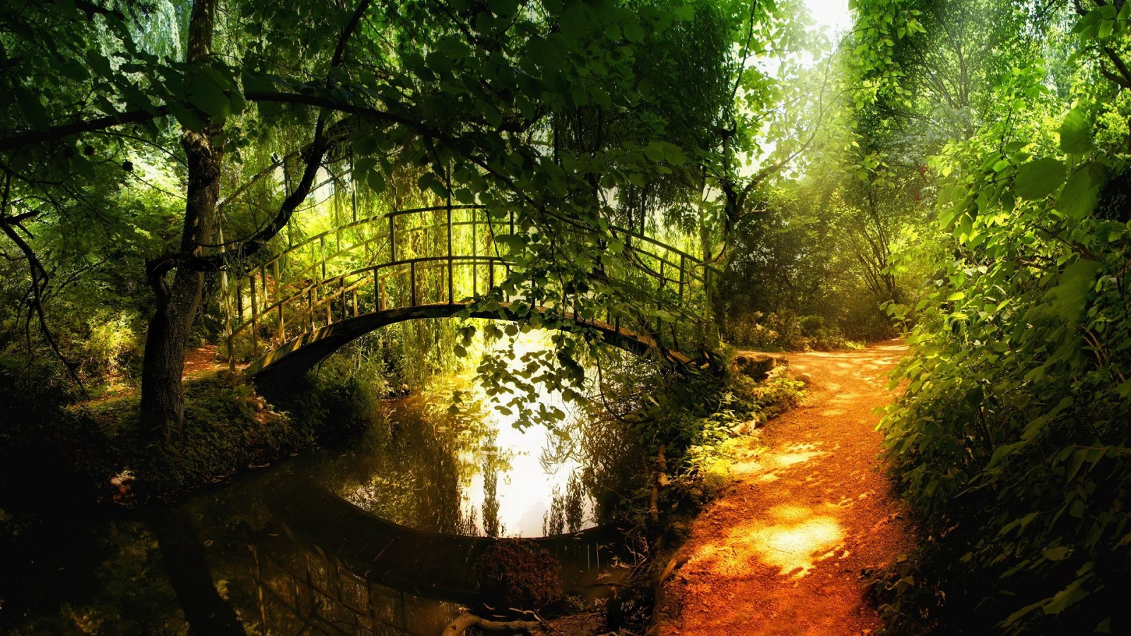 Sonnenlicht, Bäume, Landschaft, Wald, Natur, Betrachtung, Schatten, Grün, Brücke, Fluss, Dschungel, Strom, Pfad, Regenwald, Bogenbrücke, Baum, Herbst, Blatt, Wald, Lebensraum, natürlichen Umgebung, Wasserweg