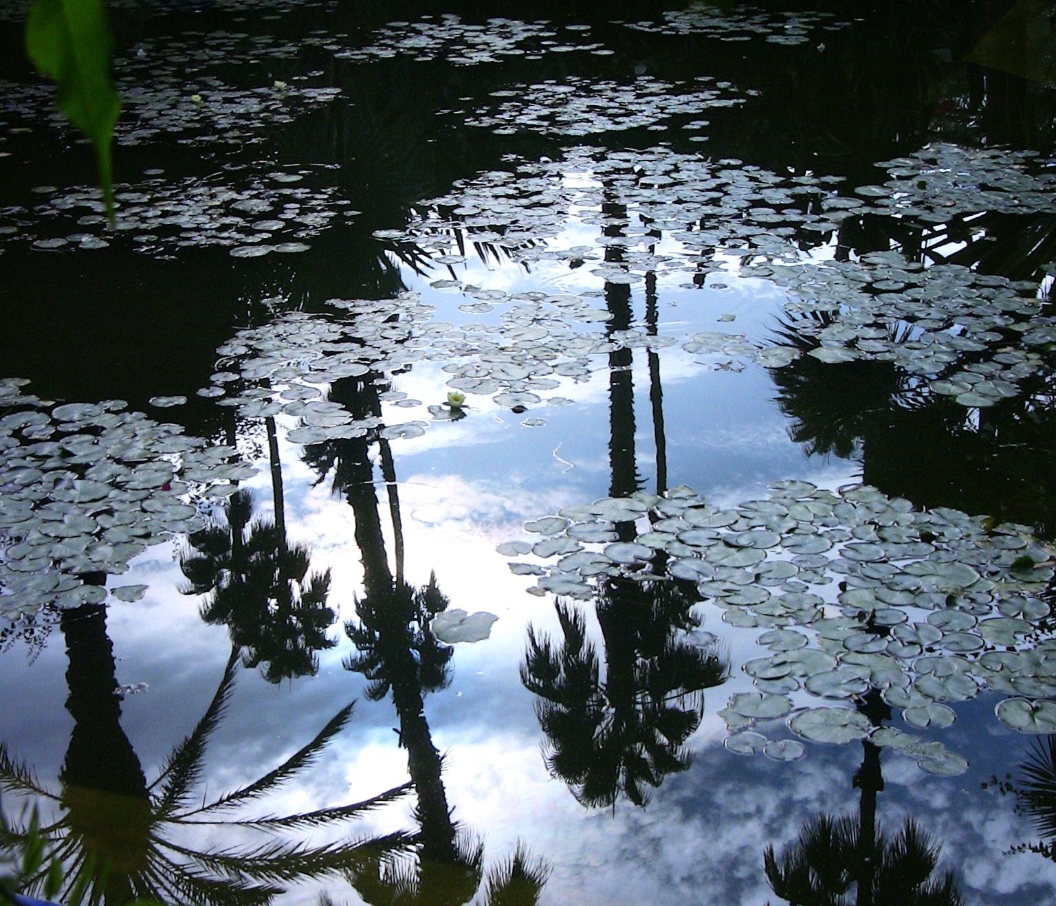 Wallpaper Perjalanan Afrika Kota Refleksi Kaca Pikiran Taman 