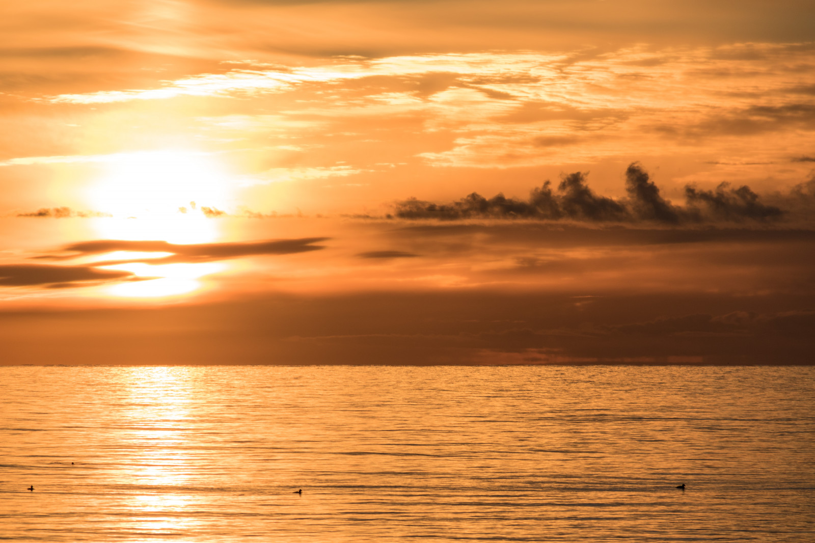 sollys, solnedgang, hav, vand, afspejling, himmel, vinter, solopgang, aften, morgen, kyst, Sol, horisont, atmosfære, skumring, Sol, Sky, daggry, ocean, himmel, solnedg ng, Vatten, vinter, hav, Moln, exif model canoneos760d, geocountry, kamera gør kanon, geocity, kameramodel canoneos760d, geostate, geolocation, exif linse efs18200mmf3556is, exif focallength 200mm, exif gøre kanon, exif isospeed 100, exif åbning 71, Dalabadets, efterglød, rød himlen om morgenen