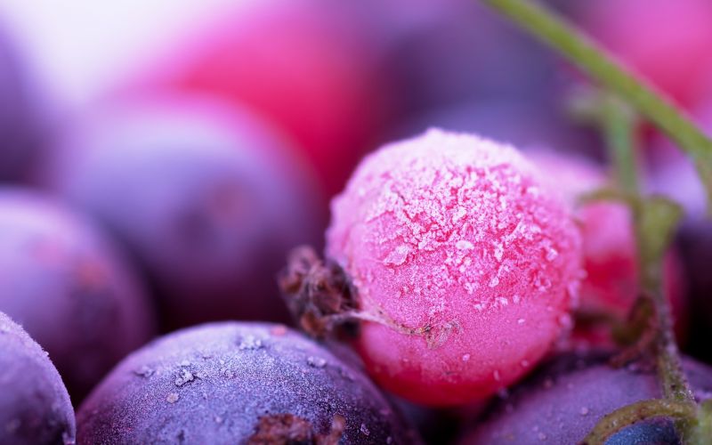 Červené, rostliny, fotografování, makro, jídlo, ovoce Červené, rostliny, fotografování, makro, jídlo, ovoce
