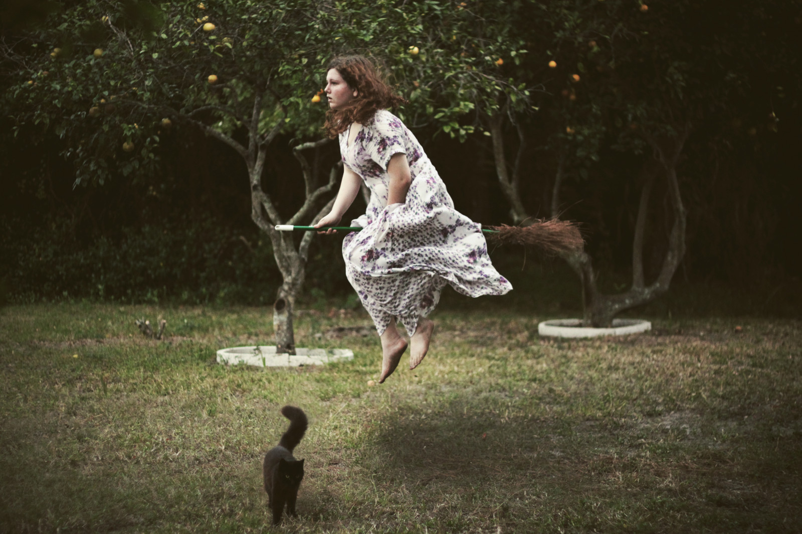 Příroda, obratlovců, strom, tráva, rostlina, zábava, dívka, šaty, voda, rekreace, tma, Volně žijících živočichů