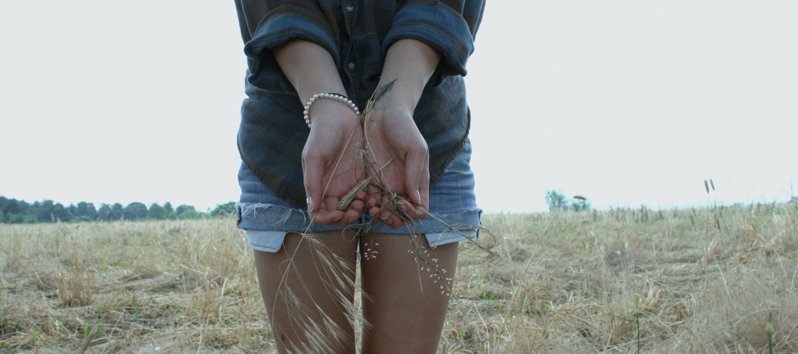 365, den, 288, Upravit, modrý, nádech, selfcrop, feild, přírodní, pšenice, nebe, dívka, ruce, jewlery, kroužky, náramek, Jean, šortky, nohy, kůže, držet, přehoz, flanel