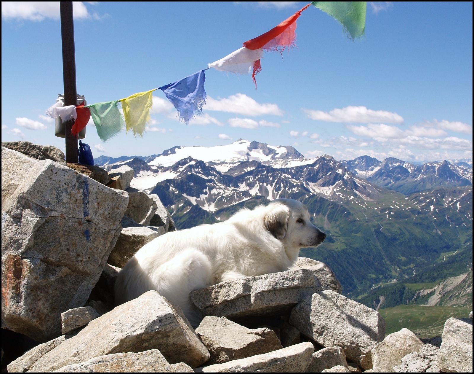 horských reliéf, hora, nebe, pohoří, dobrodružství, ledová landform, Terén, vrcholek, Alpy, Cestovní ruch, mrak, rekreace, nadmořská výška, Skála