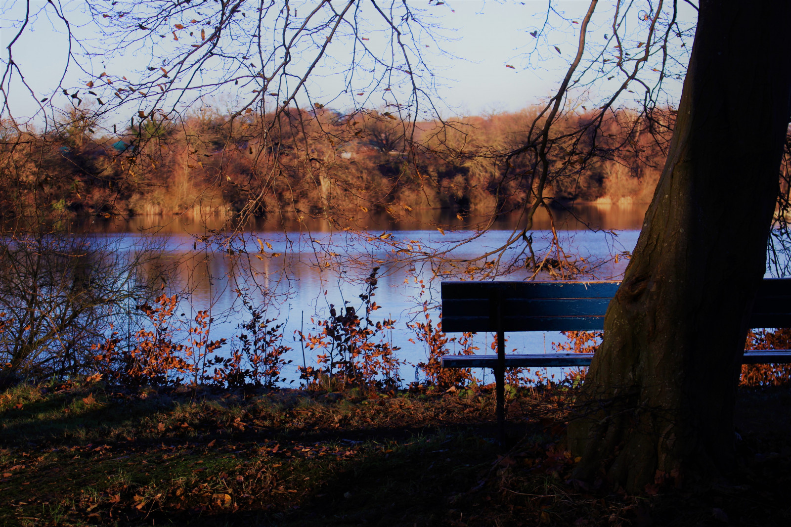 paesaggio, foresta, autunno, tramonto, lago, acqua, natura, corteccia di albero, riflessione, la neve, inverno, banche, sera, mattina, fiume, natura selvaggia, crepuscolo, albero, autunno, foglia, stagione, area rurale, pianta legnosa