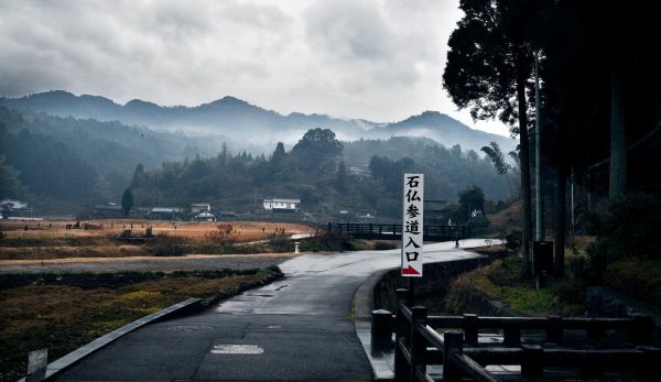 road,nature,trees,Japan,wood,mist