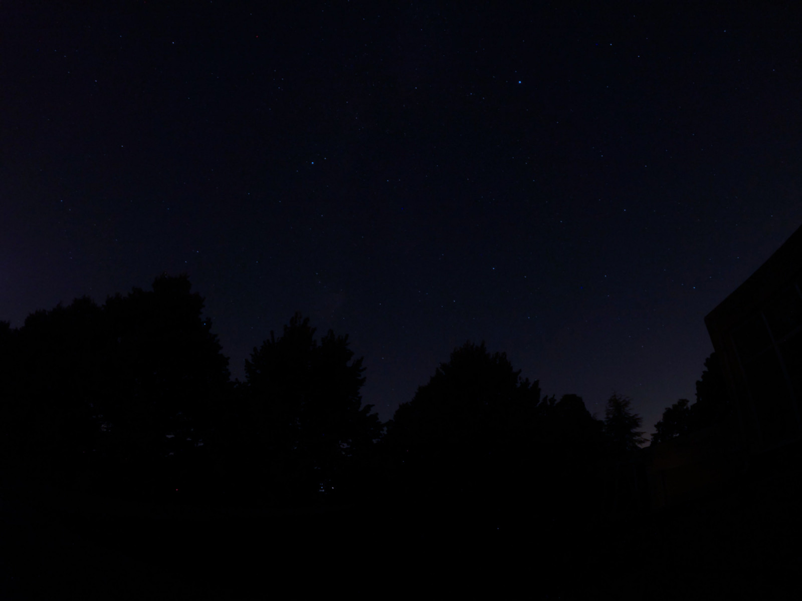 krajina, noc, hvězdy, stromy, temný, modrý, střechy, Staň se profesionálem, El mei de tutt, venku